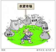 透視局地農(nóng)資檢測亂象：“合格報告”給錢就賣