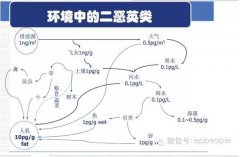 各行業(yè)二惡英污染產(chǎn)生與治理及對比表